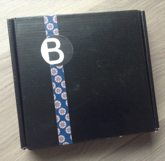 Your Bijoux Box Review - Jewelry Subscription Boxes - Nov ...
