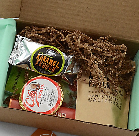 Treatsie Subscription Box Review October 2015 - 5