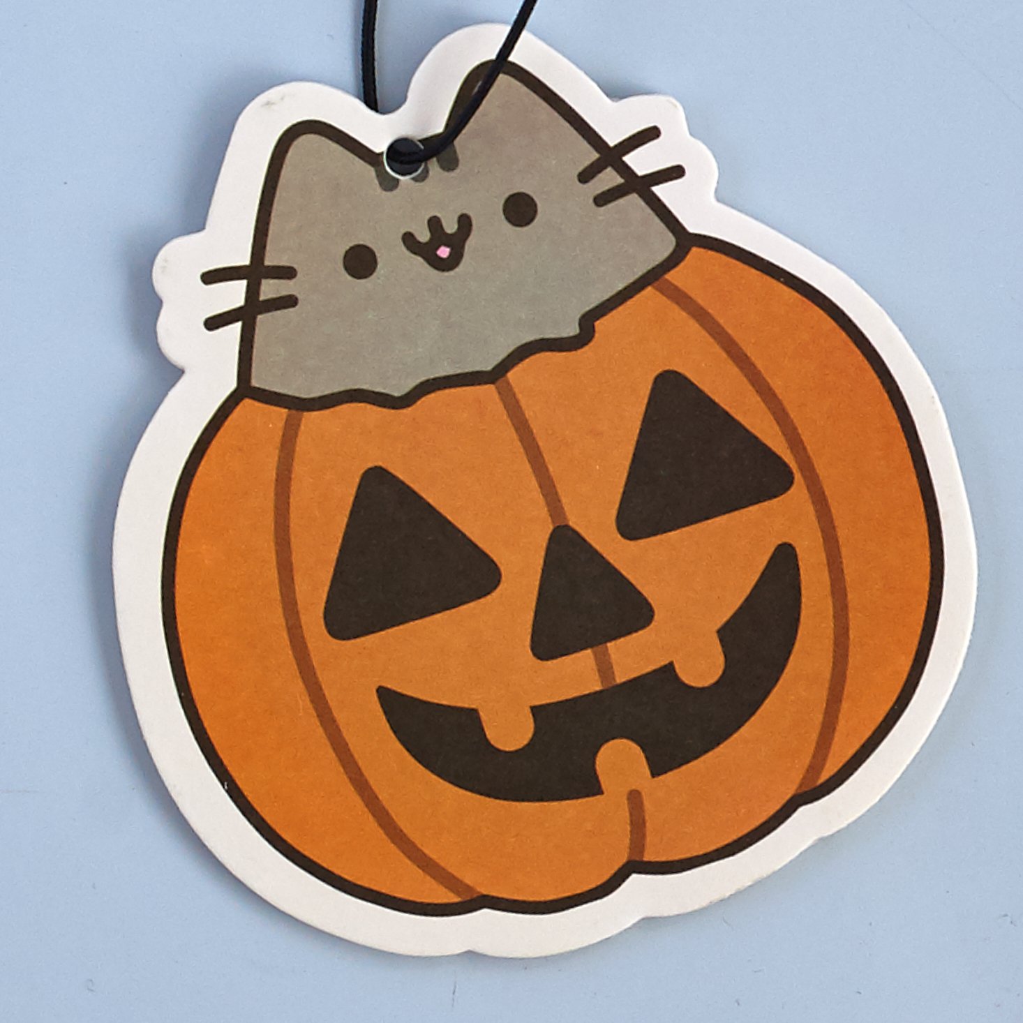 pusheen halloween box