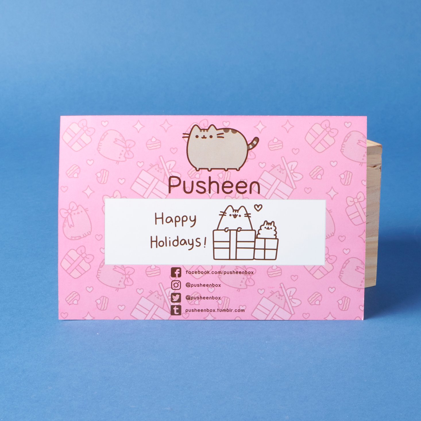 winter pusheen box