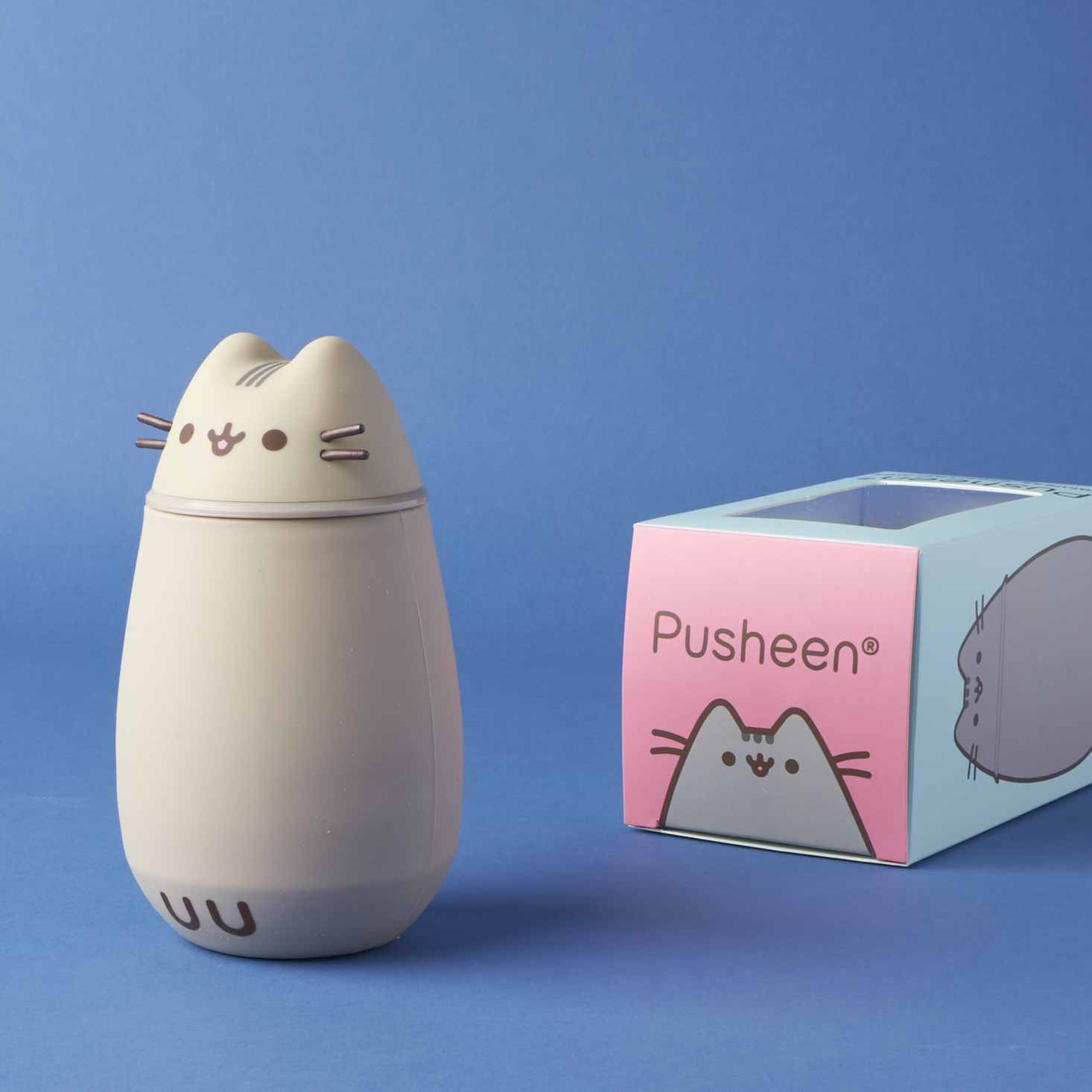 winter pusheen box