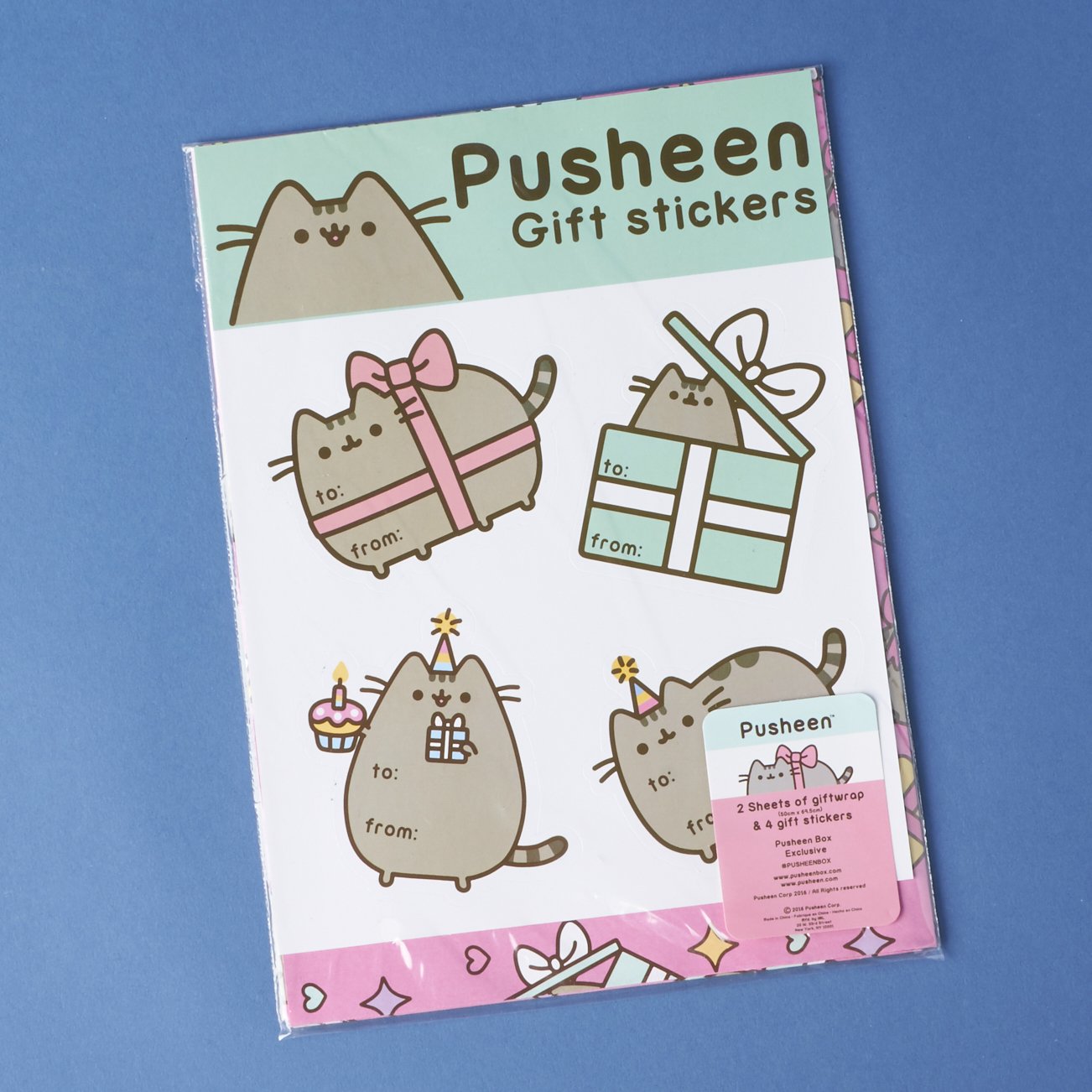 winter pusheen box