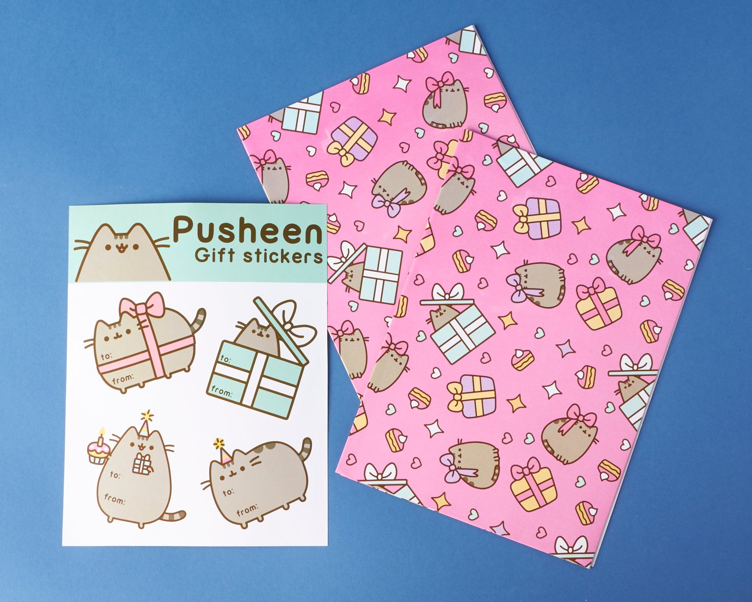 winter pusheen box