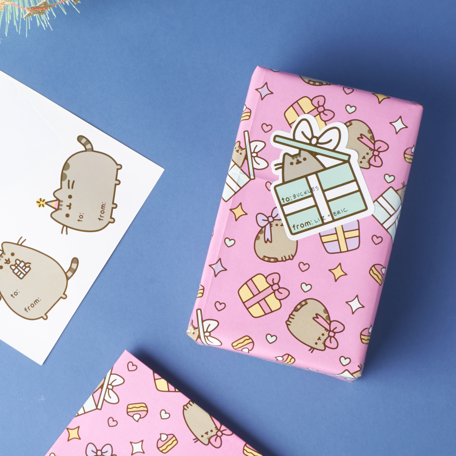 winter pusheen box