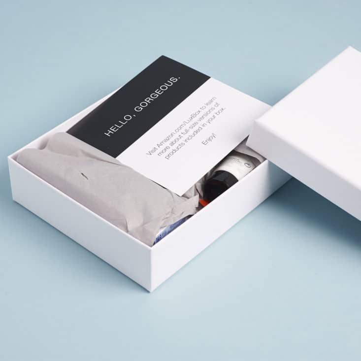 Amazon Luxury Beauty Box Review July 2017 MSA