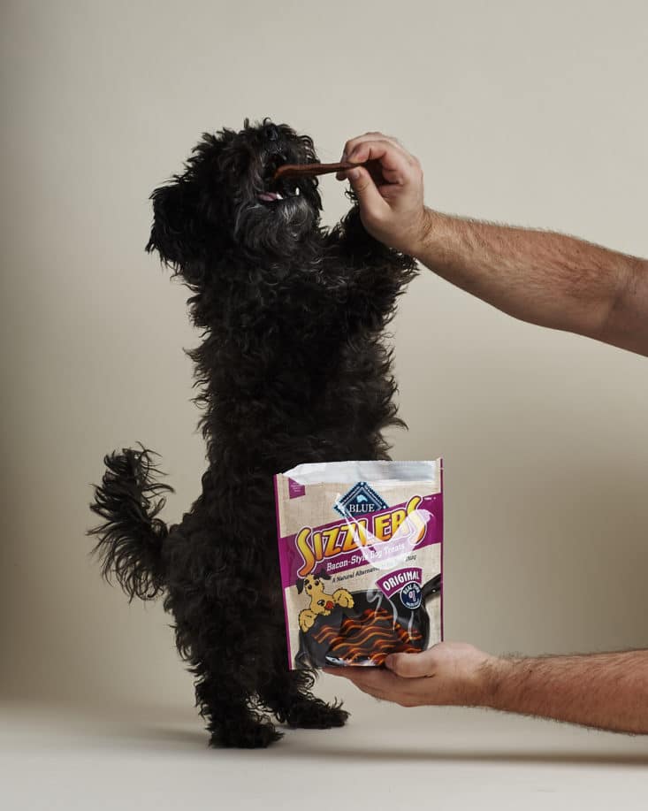 Amazon Dog Food and Treats Sample Box Review July 2017 MSA