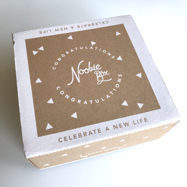Noobie Box Free Pregnancy Box Review August 2017 MSA