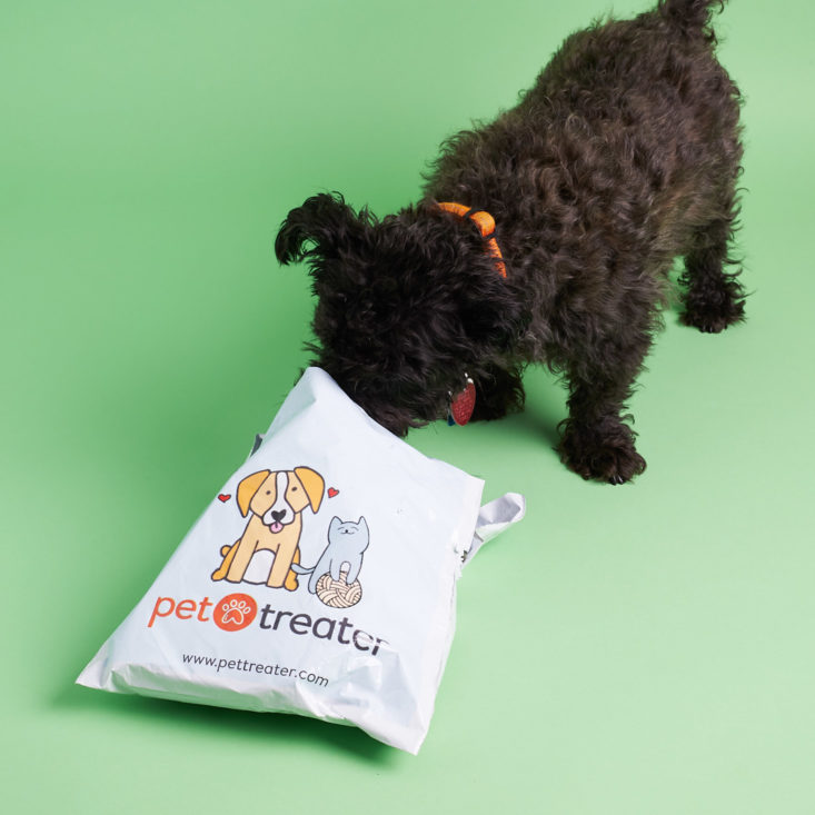 Mini Monthly Mystery Box For Dogs Review September 2017 MSA