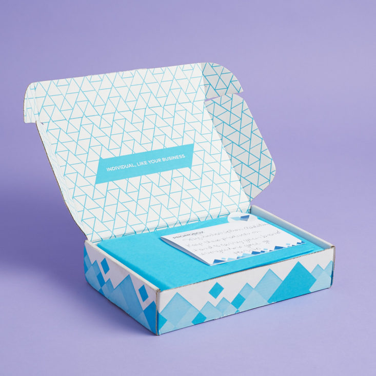 Vistaprint Promo Box Subscription Box Review August 2017 My