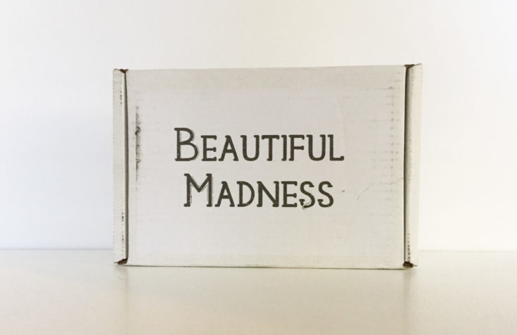 Beautiful Madness Book Case Review + Coupon - November ...