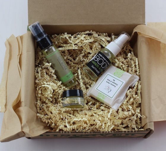 Bare Bliss Box Subscription Review – March 2015 | My Subscription Addiction