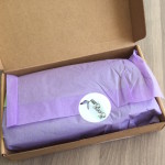 Eco Emi Deluxe Beauty Box Subscription Review – March 2015