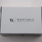 Wantable Accessories Subscription Box Review – March 2015