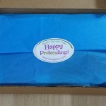 My Pretend Place Subscription Box Review – November 2015
