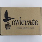 OwlCrate YA Book Subscription Box Review – February 2016