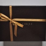 COCOTIQUE Beauty Box Review + Coupon – March 2016