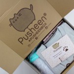 Pusheen Box Winter 2015 Box Review