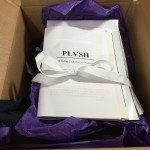PLVSH Style Subscription Box Review – April 2016