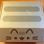 Pusheen Box Spring 2016 Box Review