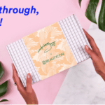 BeautyCon Box Coupon – 20% Off Annual Subscription!