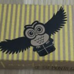 Fandom of the Month Subscription Box Review + Coupon– May 2016