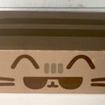 Pusheen Box Summer 2016 Box Review