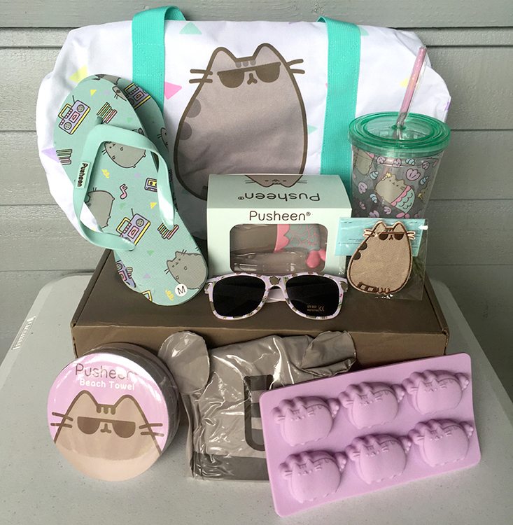 Pusheen Box Summer 2016 Box Review Msa