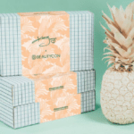 BeautyCon Box Coupon – Free Bonus Box with Annual Subscription!