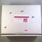 The CuteBox Subscription Review + Coupon – August 2016