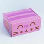 Pusheen Box Fall 2016 Subscription Box Review