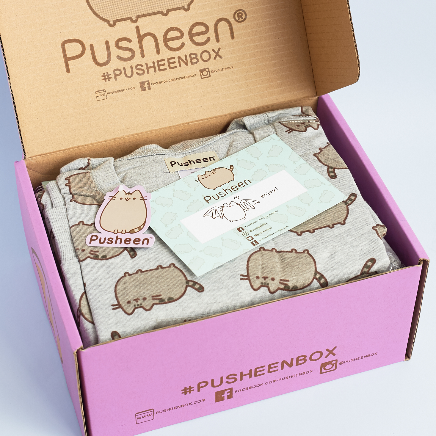 Pusheen Box Fall 2016 Subscription Box Review | My Subscription Addiction