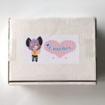 The CuteBox Subscription Review + Coupon – November 2016