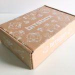 Bitsbox Subscription Box Review – November 2016