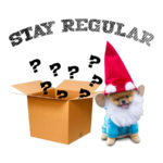 Mini Monthly Mystery Box For Dogs Now Available!