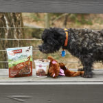 Mini Monthly Mystery Box For Dogs Subscription Review – March 2017