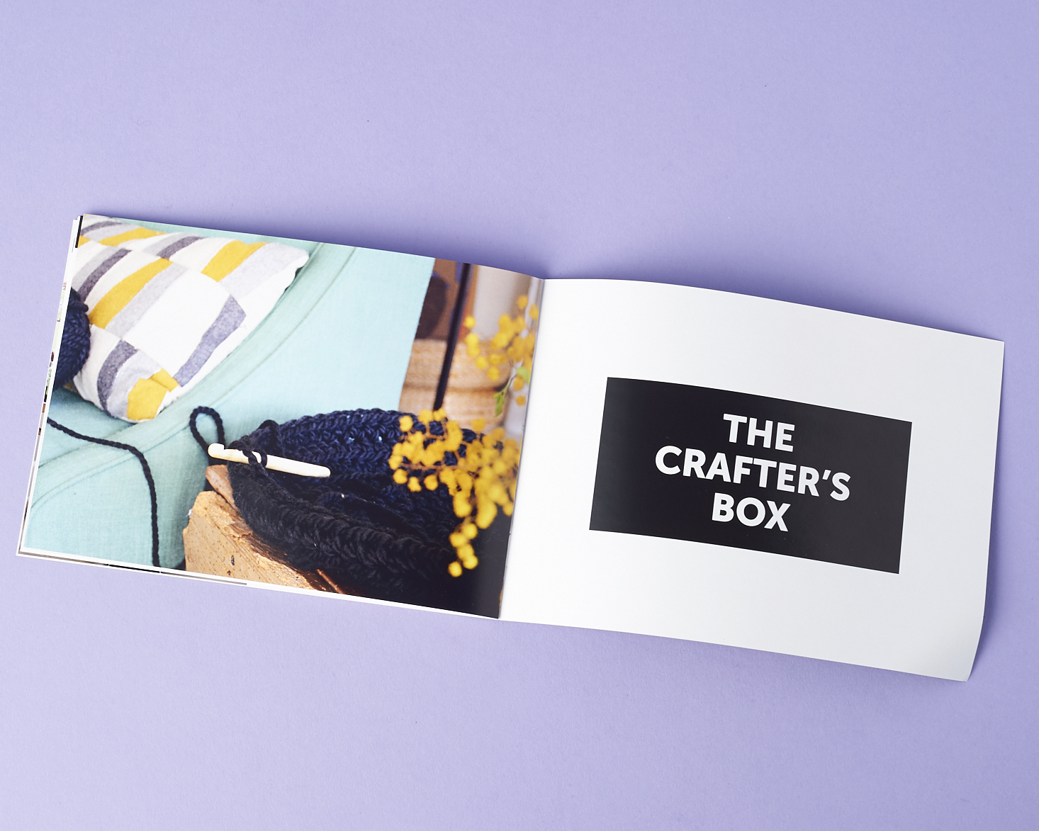 The Crafter's Box Subscription Review - March 2017 | MSA