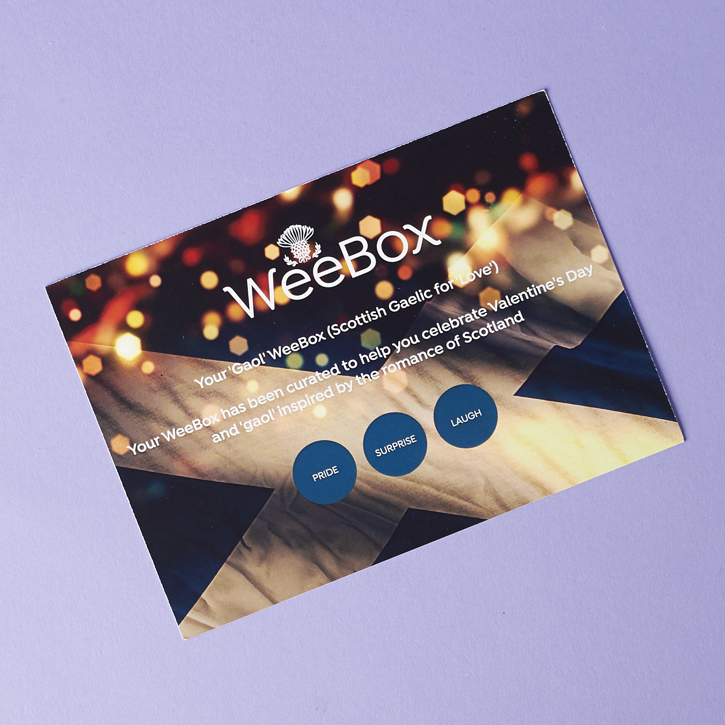 WeeBox Subscription Review Coupon February 2017 MSA