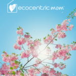 Ecocentric Mom Subscription Updates + New Bundles + Coupon!