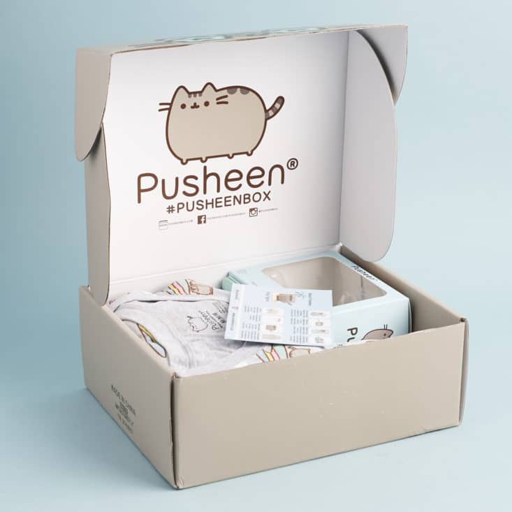 Pusheen Box Summer 2017 Subscription Box Review | MSA