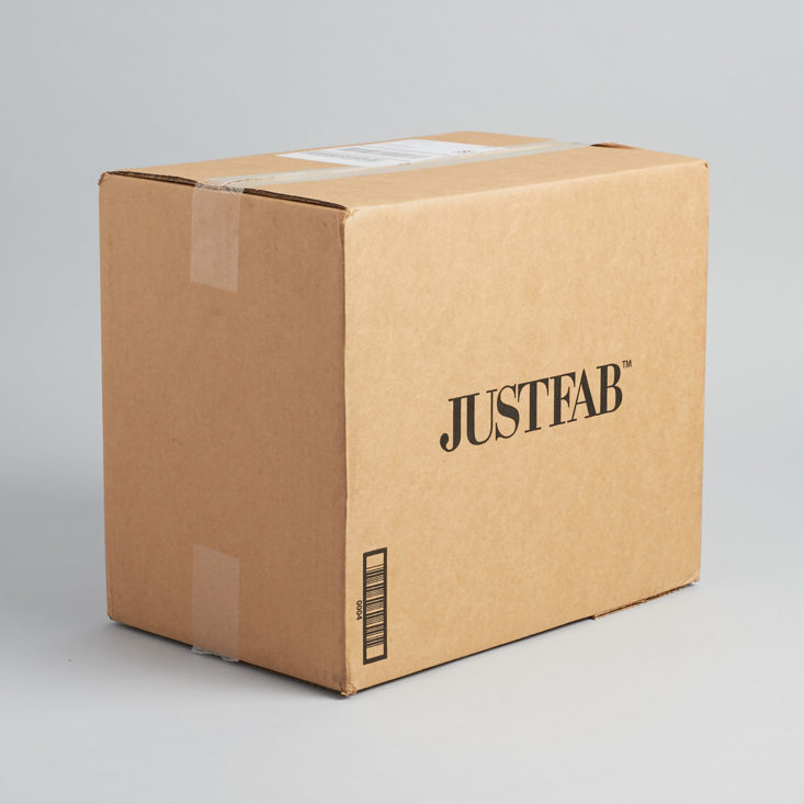 Justfab September 2017 Women S Clothing And Accessories Subscription Box