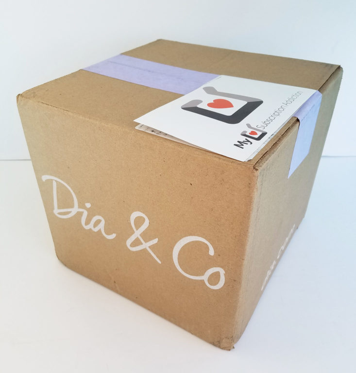 Dia and Co October 2017 - box
