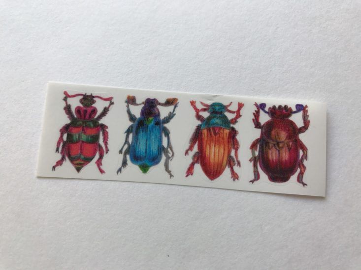 Pipsticks October 2017 Beetles