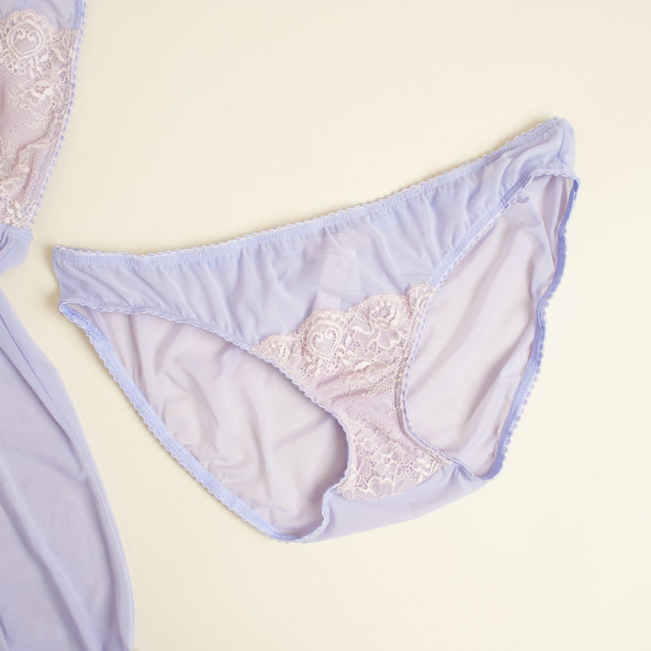 Pretty lace lingerie & a perfect everyday bra are in this month's Wantable Intimates collection!