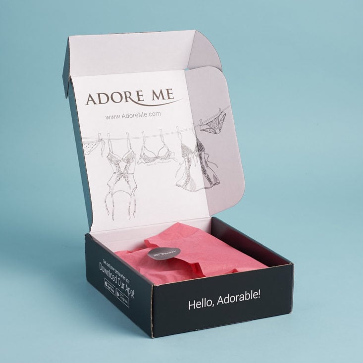 Adore Me Adelise October 2017