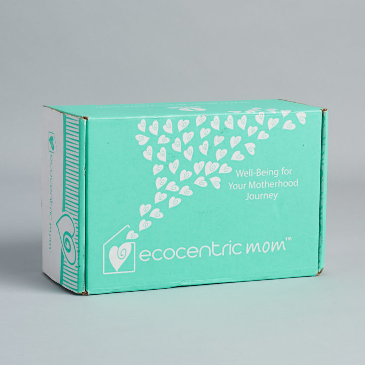 Ecocentric Mom November 2017 Mom & Toddler Box