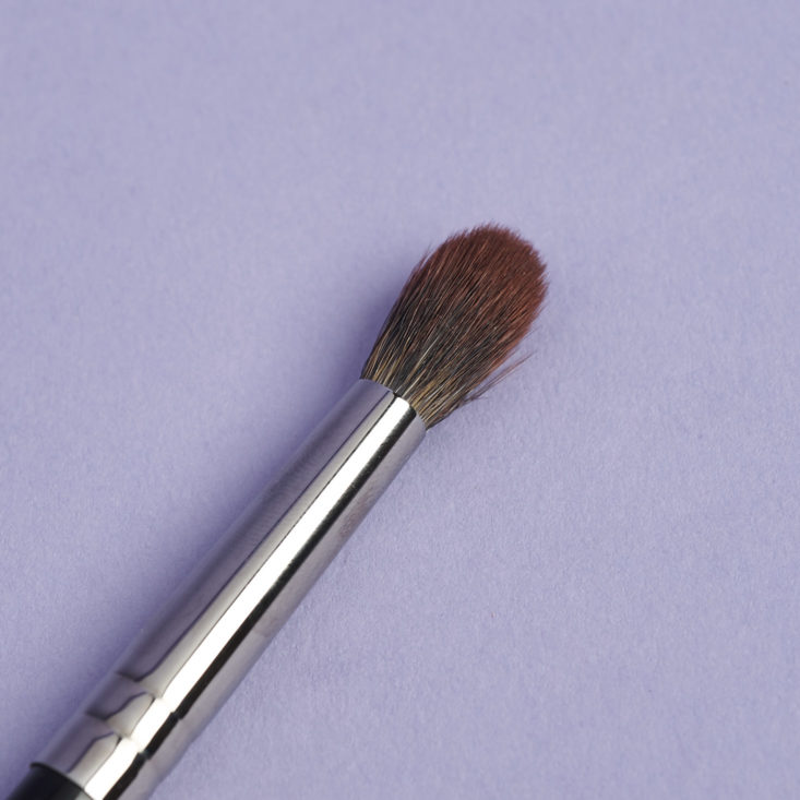 close up of MorpheMe E28 brush