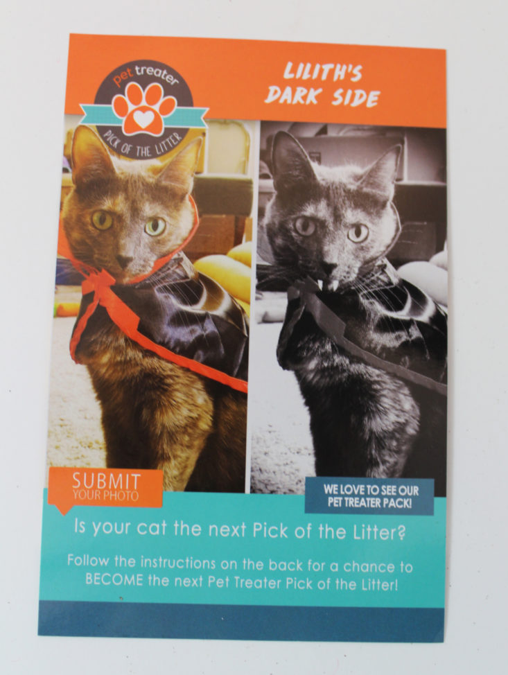 Pet Treater Cat Pack November 2017 Booklet Front