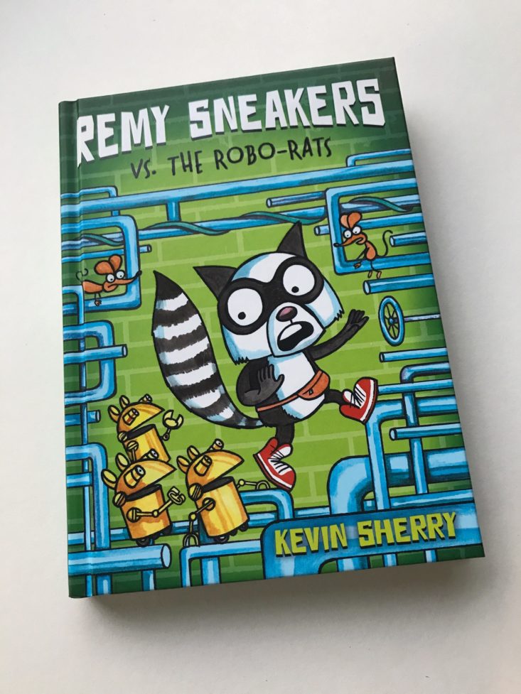 Reading Bug Box October 2017 Remy