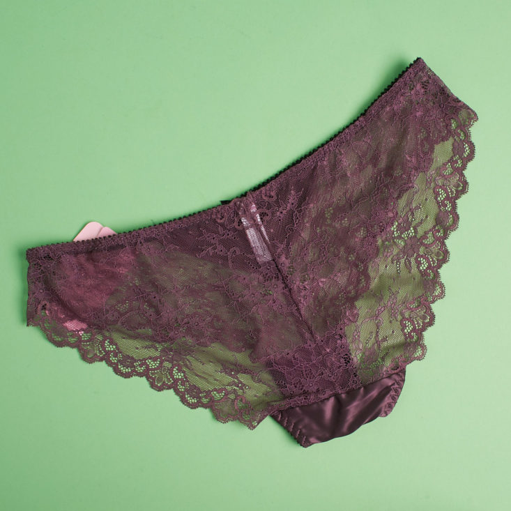 grayish purple lace underwear with silk accent from behind