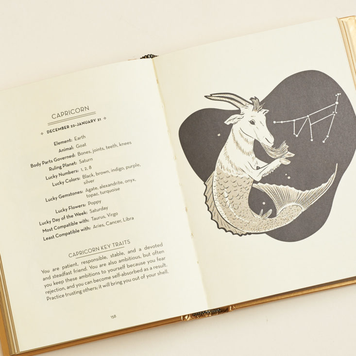 capricorn illustration inside fortune telling book